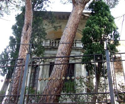 Прикрепленное изображение: DSCF6714.jpg